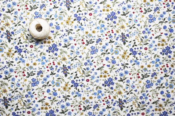 Jc 春の小花 ブルー